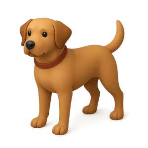 Cibo per cani