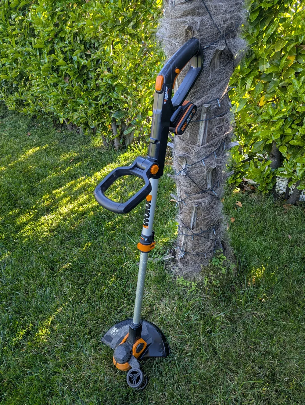 WORX WG163E Decespugliatore Tagliabordi